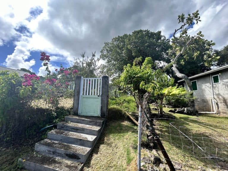 17 Things to do in Nevis