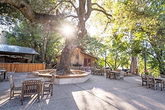 Benziger Family Winery