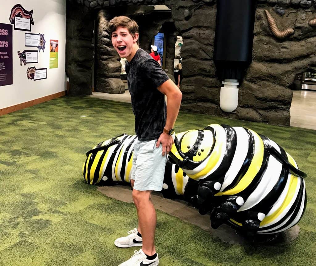 Utah Valley Vacation Guide: Sundance, Provo, Lehi, Orem, and American Fork 7 Butterfly Biosphere in Utah Valley