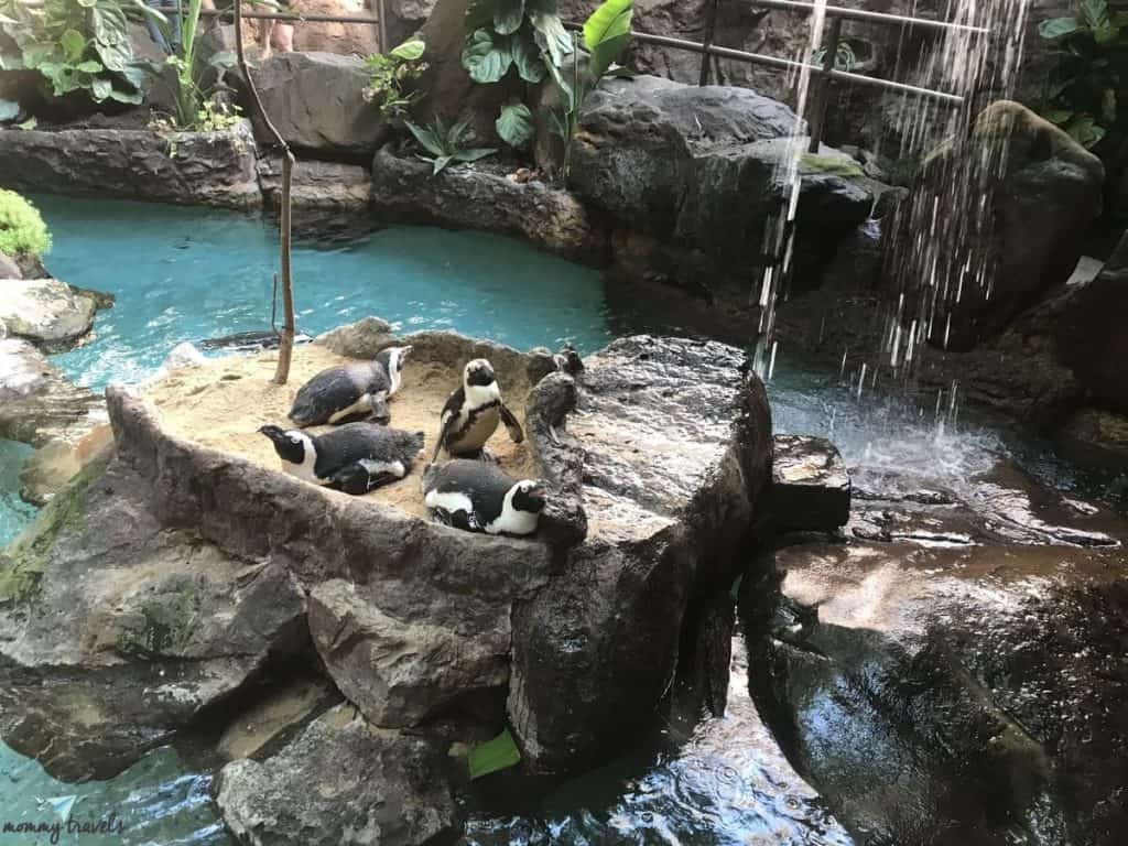 Dallas Aquarium