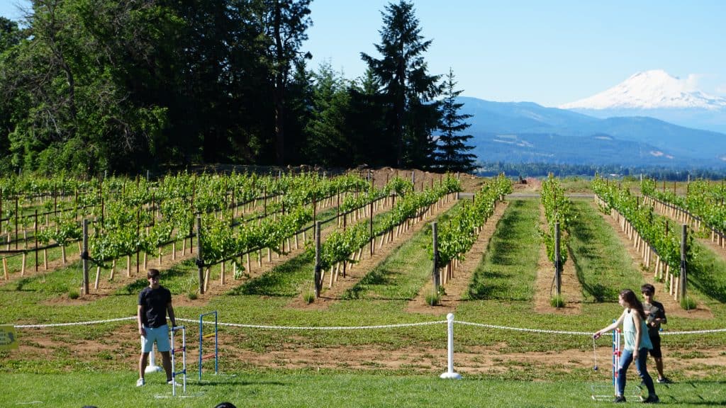 Stave & Stone Winery at the Vineyard