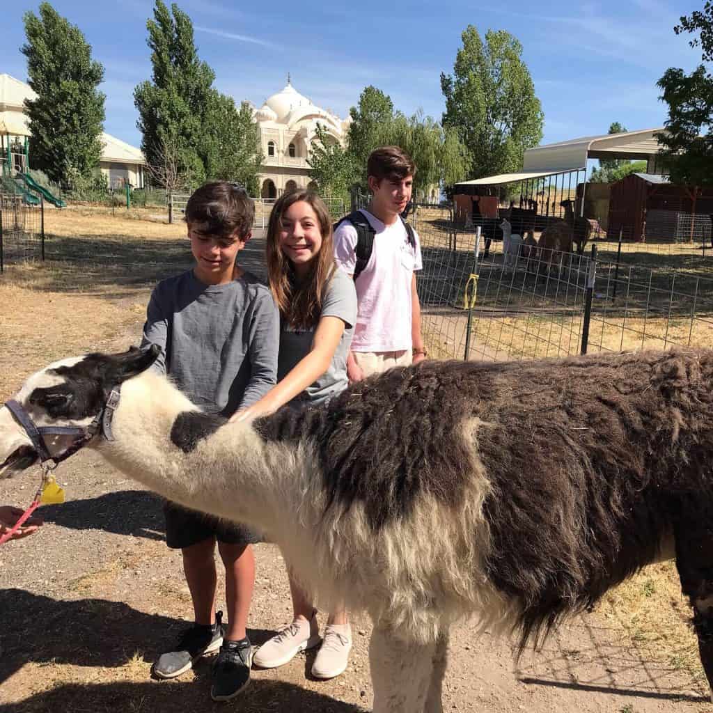 Utah Valley Vacation Guide: Sundance, Provo, Lehi, Orem, and American Fork 4 Krishna Temple and Llamas