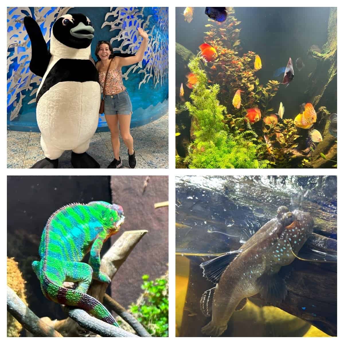 Florida Aquarium