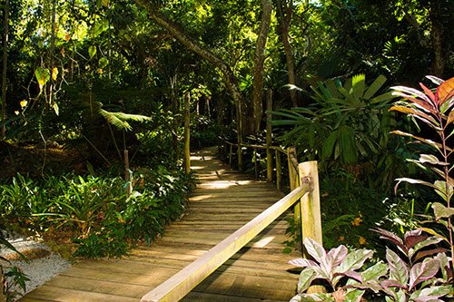 Garden of the Sleeping Giant