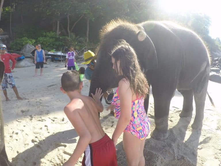 5 Day Phuket Itinerary 53 Elephants on the beach in Phuket