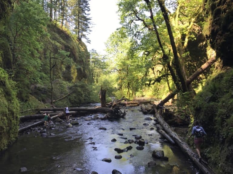 Hiking the Oneonta gorge in the Scenice Columbia gorge area of Oregon. About 50 minutes from downtown Portland.