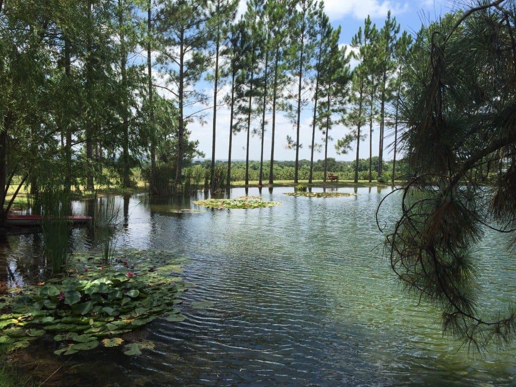 15 Weekend Getaways from Dallas, Texas 12 Das Peachhaus Winery Fredericksburg