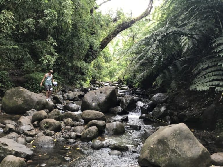 Maunawili Falls hike in Oahu, Hawaii