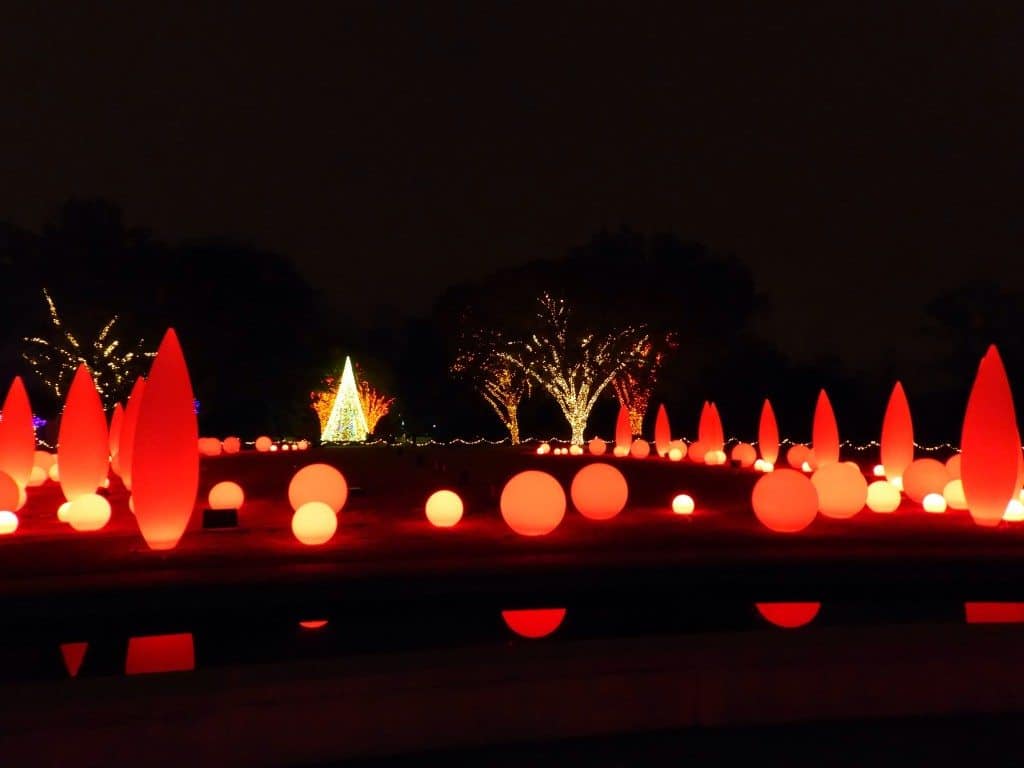 Atlanta Botanical Garden Holiday Lights 5 IMG_5681.JPG