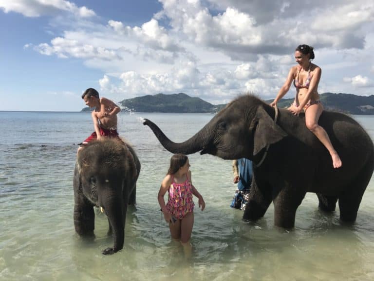 Swimming with Elephants in Phuket Thailand