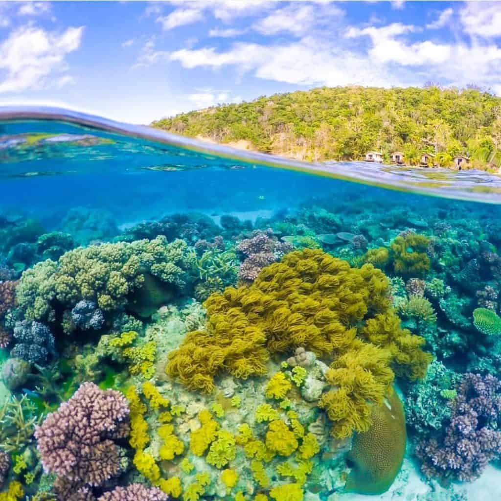 Mantaray Island Resort