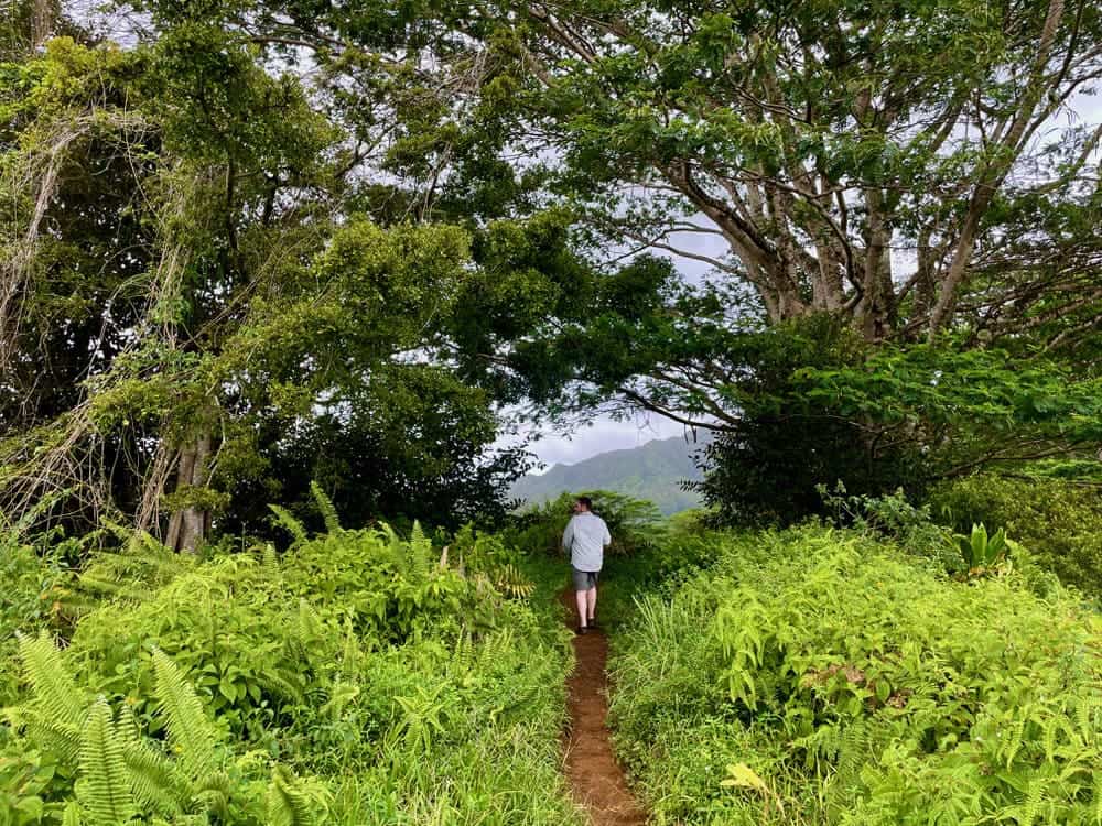 On the Kuilau Ridge Trail - 1-1
