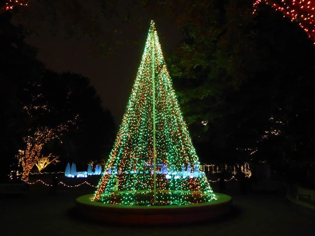 Atlanta Botanical Garden Holiday Lights 9 P1020894