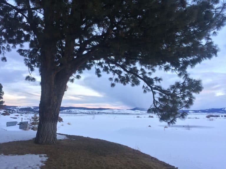 Silvies-Valley-Ranch