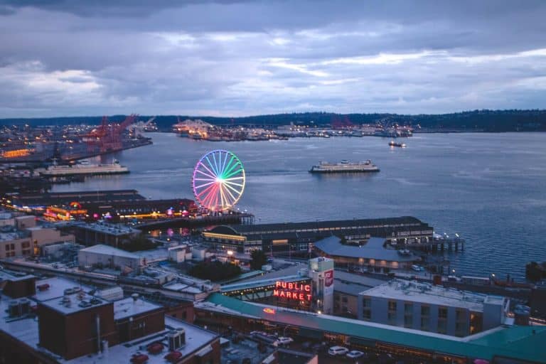 View of Seattle from the Nest (1)