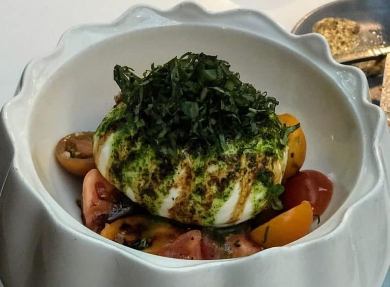 Zeppole Gaylord Texan