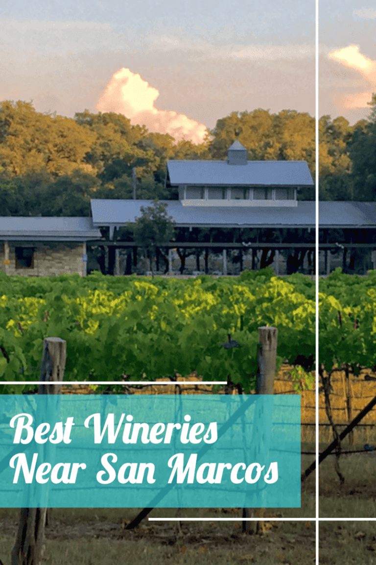 Best Wineries Near San Marcos 26 best-wineries-near-san-marcos