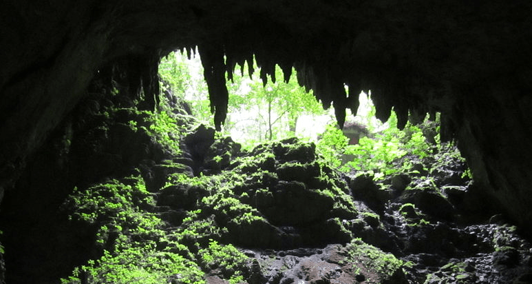 Camuy Caverns