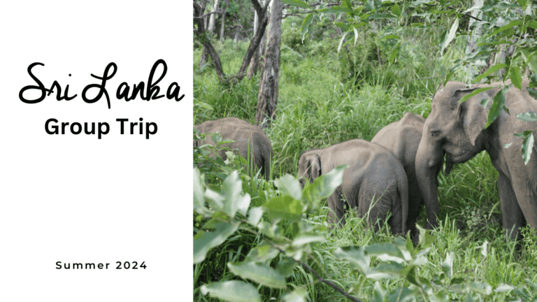 Sri Lanka Group Trip